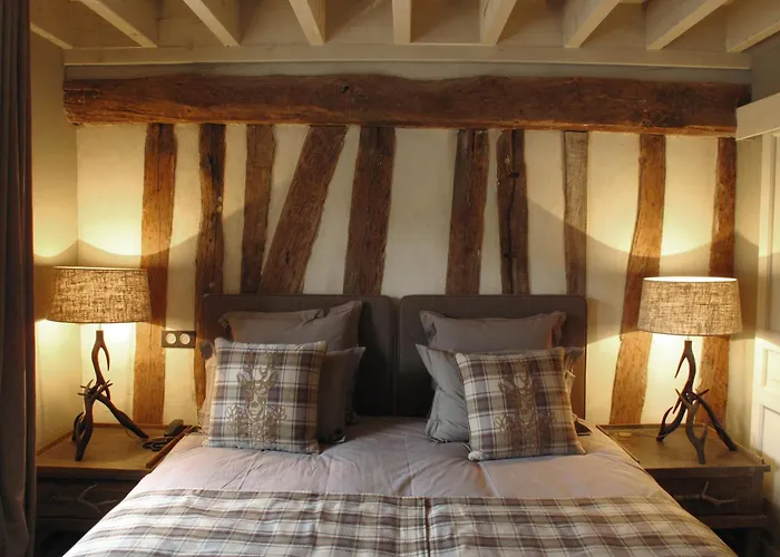 Hotel Du Grand Cerf & Spa
